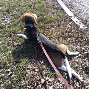 Meet your Posher, Roberta